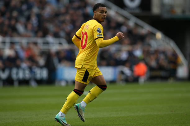 攀岩这一运 攀岩这一运